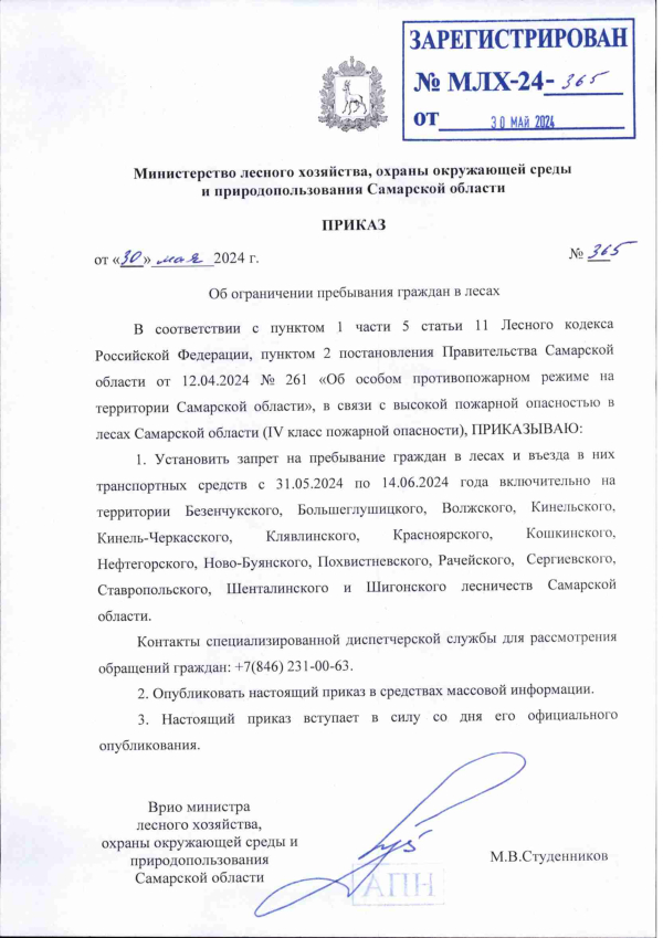 На территории Самарской области сохраняется 4 класс пожарной опасности в лесах