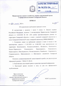 На территории Самарской области сохраняется 4 класс пожарной опасности в лесах