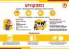 СББЖ Информирует