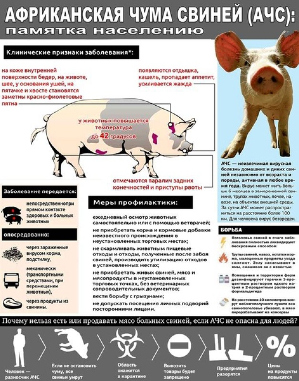 СББЖ Инфомирует
