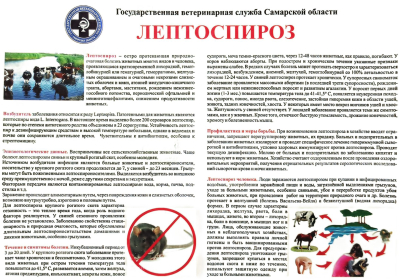 СББЖ информирует