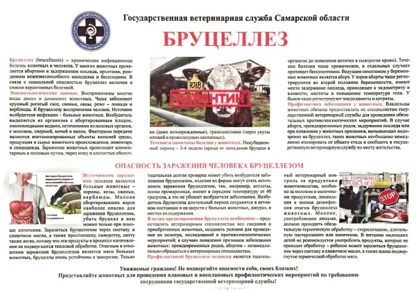 СББЖ информирует