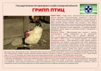 СББЖ информирует