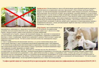 ГБУ Самарской области "Самарское ветеринарное объединение" ИНФОРМИРУЕТ: