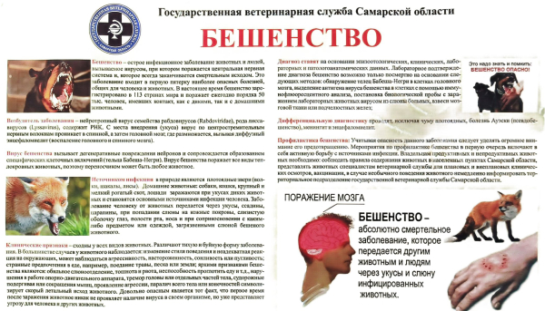 СББЖ информирует