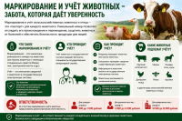 Информируем