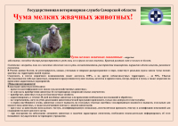 Памятки от Ставропольской СББЖ